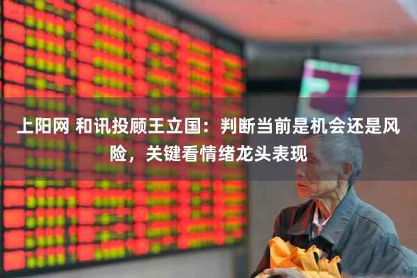 上阳网 和讯投顾王立国：判断当前是机会还是风险，关键看情绪龙头表现