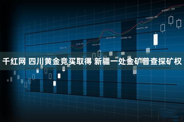 千红网 四川黄金竞买取得 新疆一处金矿普查探矿权